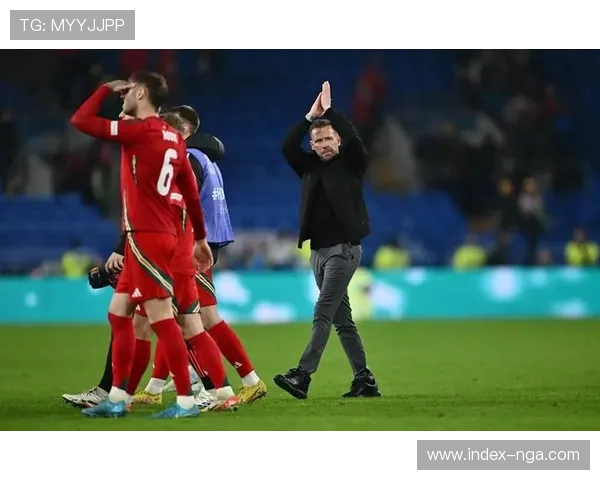 威尔士1-0小胜列支敦士登，保留晋级希望